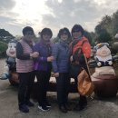 제주버스여행 이미지