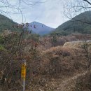 산길넘어펜션 이미지