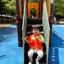 태평어린이공원 이미지