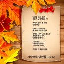 사랑해요 당신 이미지