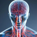 오상신경외과의원 이미지