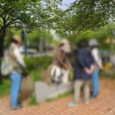 봄꽃교재.교구 이미지
