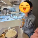 창조자연사박물관 | 일기: 주렁주렁, 연세대 어린이생활지도연구원 수업, 서대문 자연사 박물관, 원마운트, 실내놀이 발달 현황