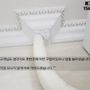버그클리닉