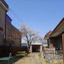 사우다지 운정 이미지