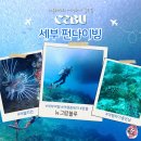 세부 다이빙 샵 자유 여행 체험 펀 자격증 뉴그랑블루