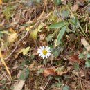 달마고도민박 | 전라남도 가볼만한곳 해남 미황사, 경치좋은곳 도솔암