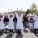 3.1만세로 이미지