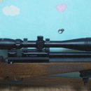 아구대장 이미지