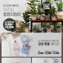 하루하우스 이미지