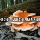 쉽게 배우는 히라가나 일본어 기초과정 | 일본어 가타가나와 히라가나 쉽게 배우기