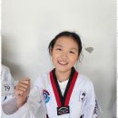 대한미르태권도장 이미지