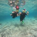 스킨스쿠버, 스킨다이빙(화) | 괌날씨 상관없는 스킨스쿠버 맥제이 스쿠버다이빙 후기 및 예약방법