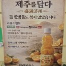 중문1세천 | [제주 중문동] 밀물리 아기자기한 서귀포 디저트 카페 추천
