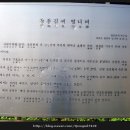 청풍김씨 열녀비 이미지