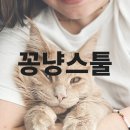 [프로젝트] 스툴 만들기 이미지