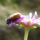 제주 물장오리오름 이미지