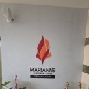 세븐일레븐 해운대마리안느호텔점 | 부산 해운대, 마리안느호텔 방문 후기 #리뷰