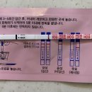 (주)이룸메디칼 | #1. 임신계획/임신준비하기(+센텀이룸,다낭성난소증후군 기록)