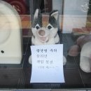 미소짐 이미지