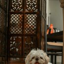 계양SKY동물메디컬센터 이미지