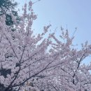 웨딩홀부터 웨딩밴드까지 질문 많았던 결혼 준비 예약리스트 공유합니다!