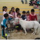 프로보노브릿지 이미지