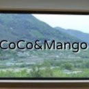 밀양힐링펜션 이미지