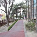 참조은공인중개사사무소 이미지