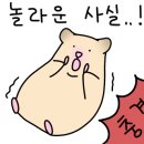 로던트클럽 이미지