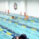 토이키즈 스윔클럽 이미지