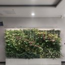 당진시립중앙도서관 이미지