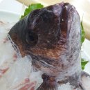 청량횟집 이미지