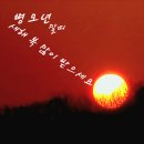 복이 행정사사무소 네이버블로그