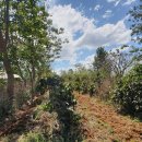 별다섯농장 이미지