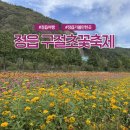 구절초가는길 | 정읍 구절초지방정원 구절초꽃축제, 알록달록 꽃길 따라 걷는 가을 여행