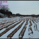 전대1리마을회관 이미지