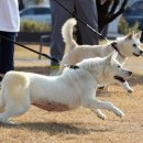 광주광역시 우치동물원 동물병원 이미지