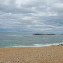 영랑공인중개사사무소 이미지