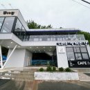 별헤는강