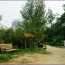 우면산7-2-10 이미지