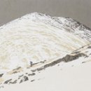 이설아 카카오 검색결과