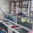 신항만 | 포항 신항만 🩵시원한 물회🩵 내돈내산 맛집 &#34;신항만회식당&#34; 후기