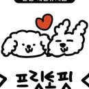 프릿토핏 이미지