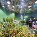 나비 게임장 이미지