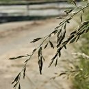 선소공원 이미지