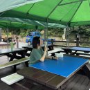 그린민박2 이미지