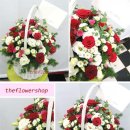 더리시안 이미지