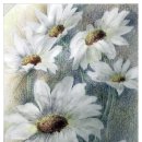 색연필디자인화 이미지