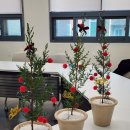 영등포평생학습관 | 영등포 미래 평생학습관 생화크리스마스트리 가드닝클래스 기관 출강